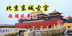 好爽太深了好硬鸡巴啊啊啊小骚货视频中国北京-东城古宫旅游风景区