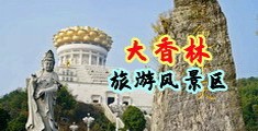 淫虐骚逼中国浙江-绍兴大香林旅游风景区